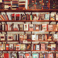 Open Shelf Unit - Fine Arts Wakad