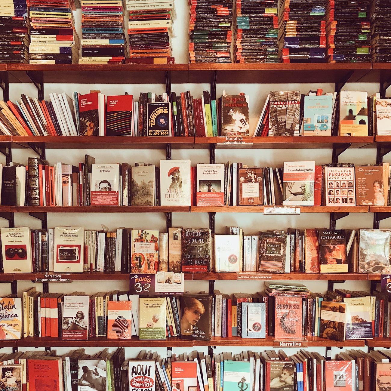 Open Shelf Unit - Fine Arts Wakad